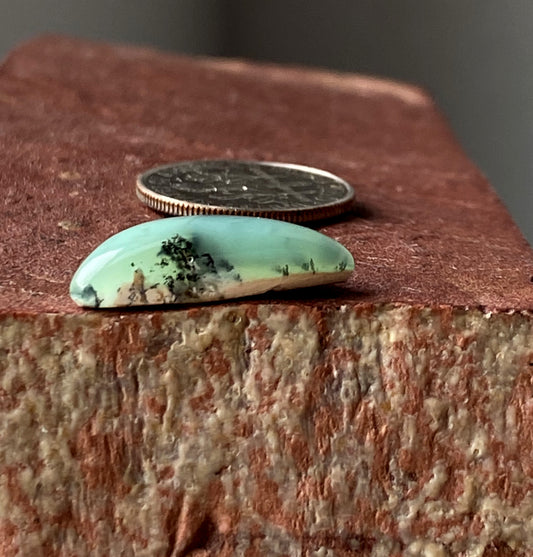 6.5 carat Australian chrysoprase cabochon by the Nevada Cassidys