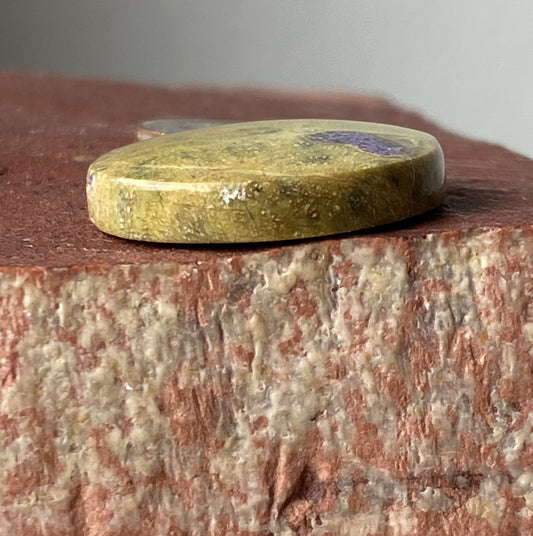 27 carat round Atlantisite cabochon by the Nevada Cassidys