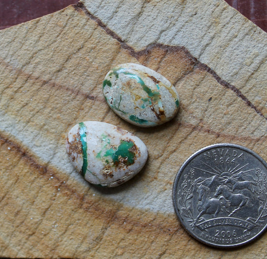 Two boulder-cut Stone Mountain Turquoise cabochons