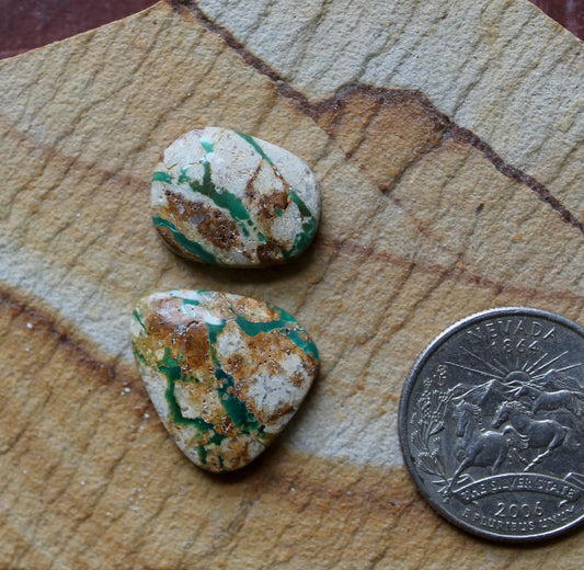 Green boulder-cut Stone Mountain Turquoise cabochons