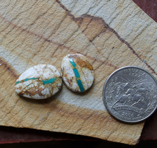 Two blue boulder-cut Stone Mountain Turquoise cabochons