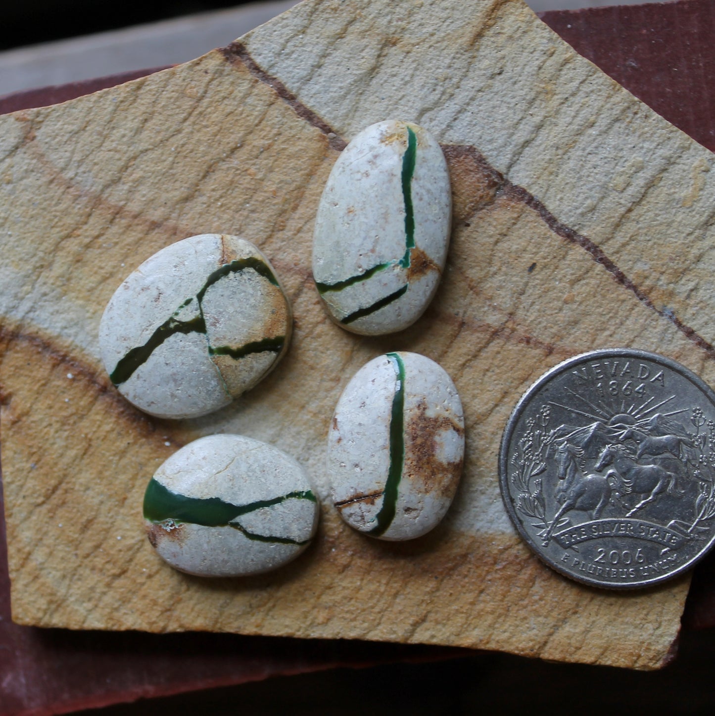 Dark green boulder-cut Stone Mountain Turquoise cabochons