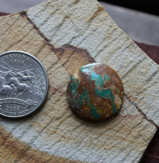 13 carat round Stone Mountain Turquoise boulder-cut cabochon