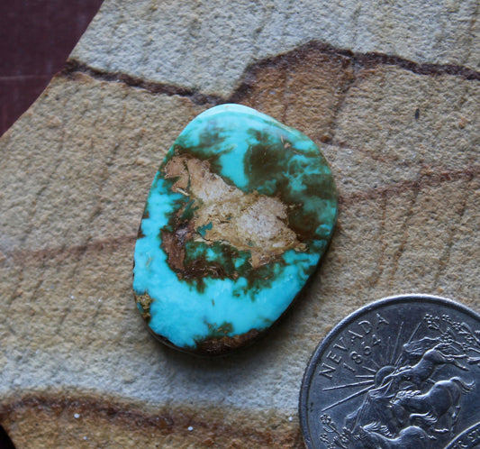 14 carat blue Stone Mountain Turquoise cabochon with red matrix 14 carat blue Stone Mountain Turquoise cabochon with red matrix