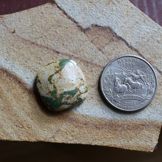 19 carat green boulder-cut Stone Mountain Turquoise cabochon 19 carat green boulder-cut Stone Mountain Turquoise cabochon