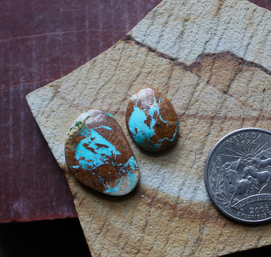 Two boulder-cut Stone Mountain Turquoise cabochons