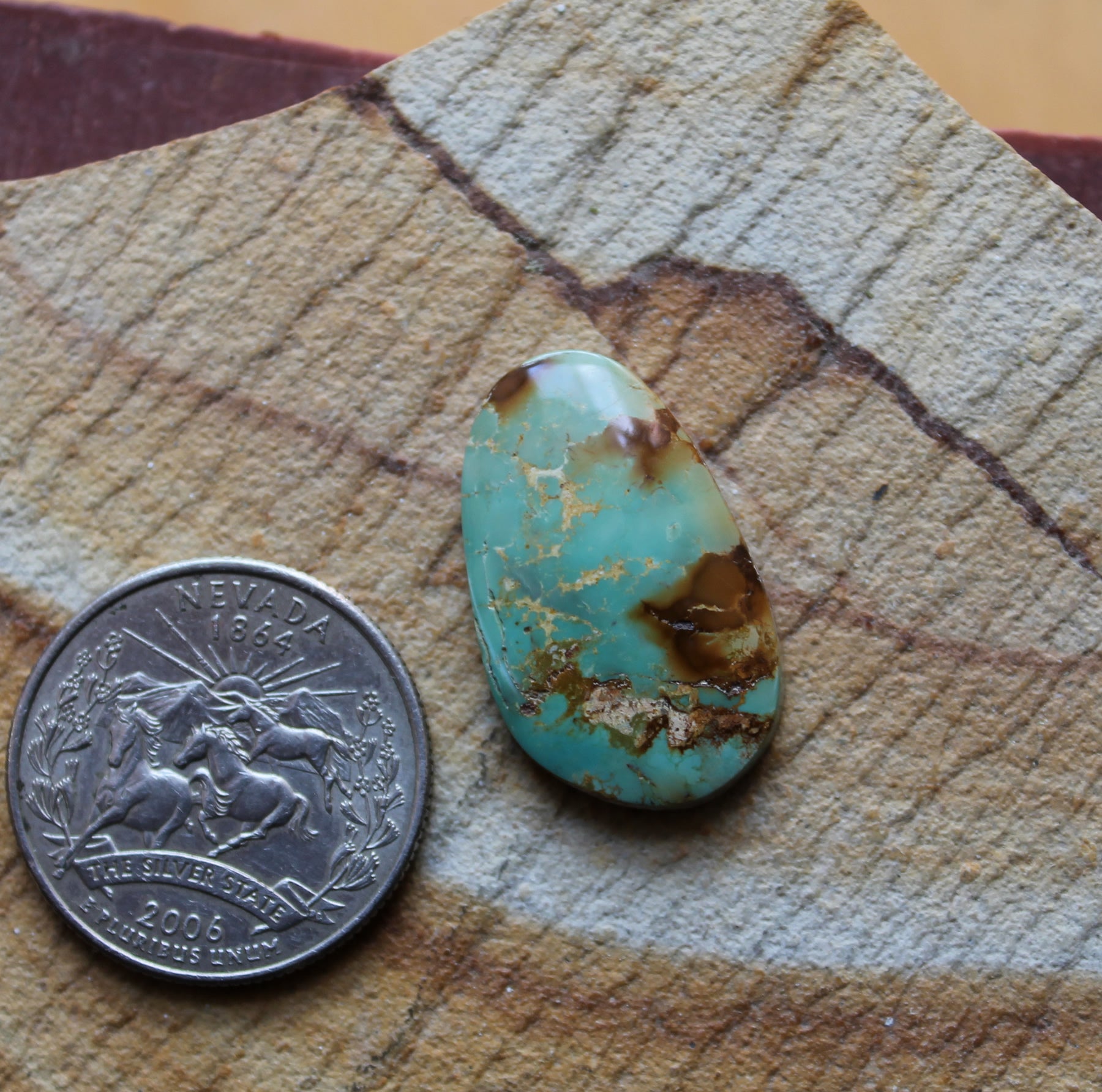 Sierra Nevada Turquoise {SN583} Cabochon | Gemstone | Cab order | Polished Stone