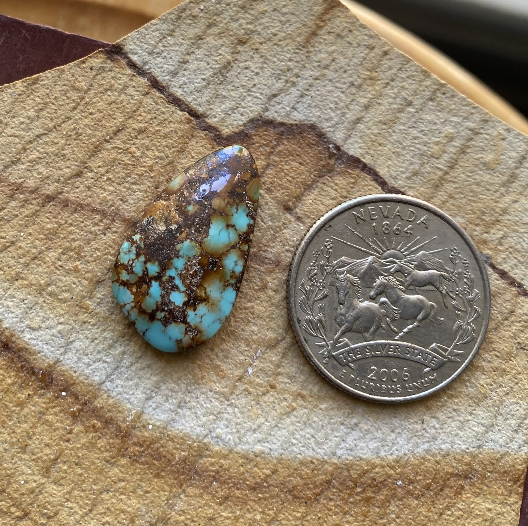#『Southern blue 』　カノコダカラ貝 12 carat natural dark blue Stone Mountain Turquoise cabochon with