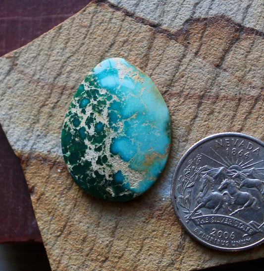 19 carat color change Stone Mountain Turquoise cabochon