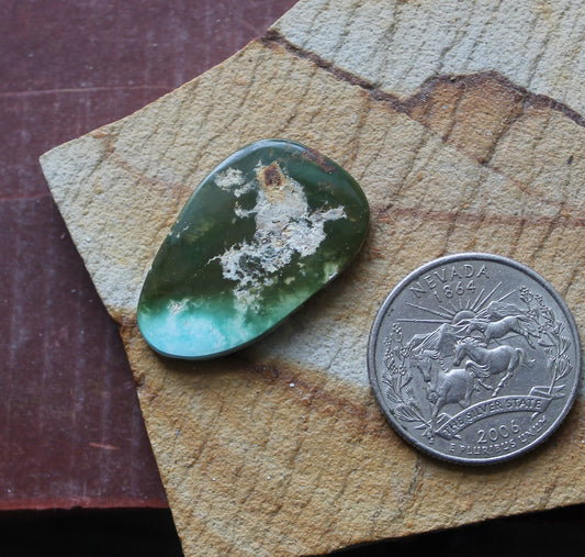 18 carat color change Stone Mountain Turquoise cabochon 18 carat color change Stone Mountain Turquoise cabochon