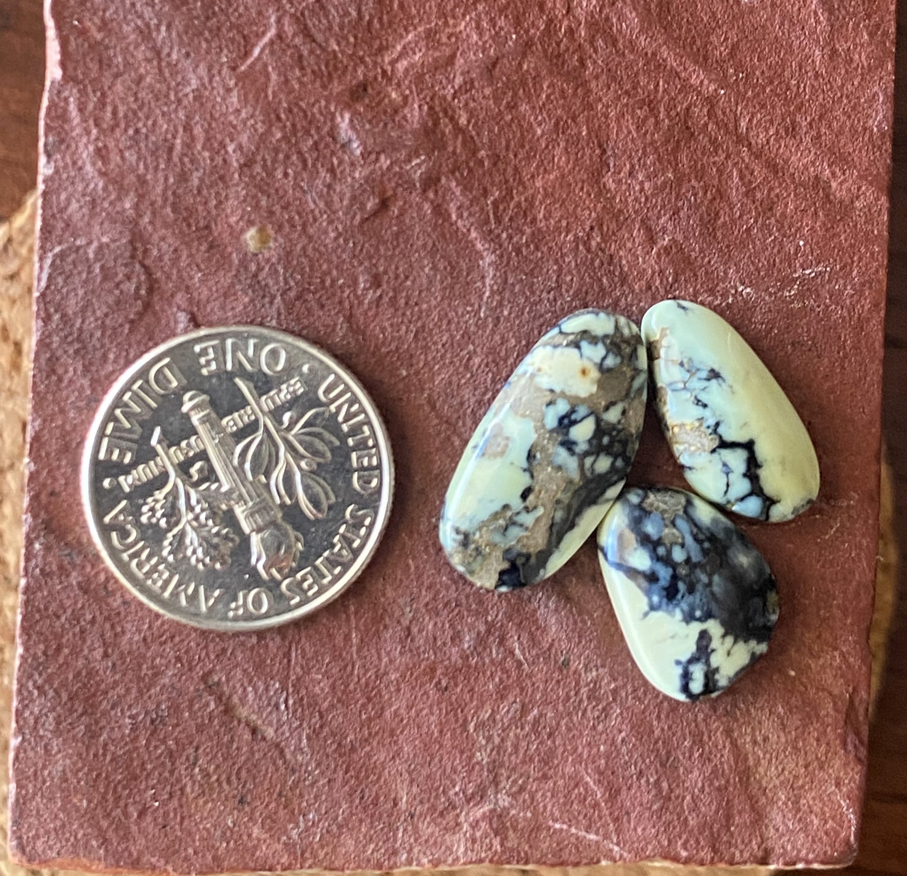 化石　バクリテス　長野カネワリ 10 carat natural Candelaria variscite cabochons – Nevada Cassidys