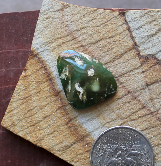 14 carat dark green Stone Mountain Turquoise cabochon 14 carat dark green Stone Mountain Turquoise cabochon