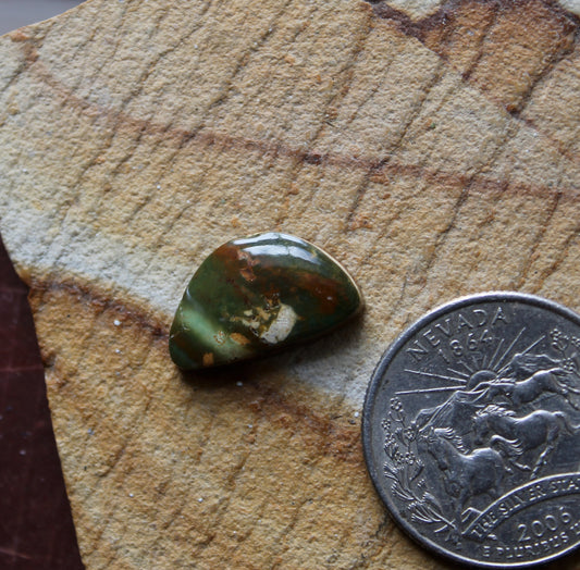 5 carat dark green Stone Mountain Turquoise cabochon 5 carat dark green Stone Mountain Turquoise cabochon
