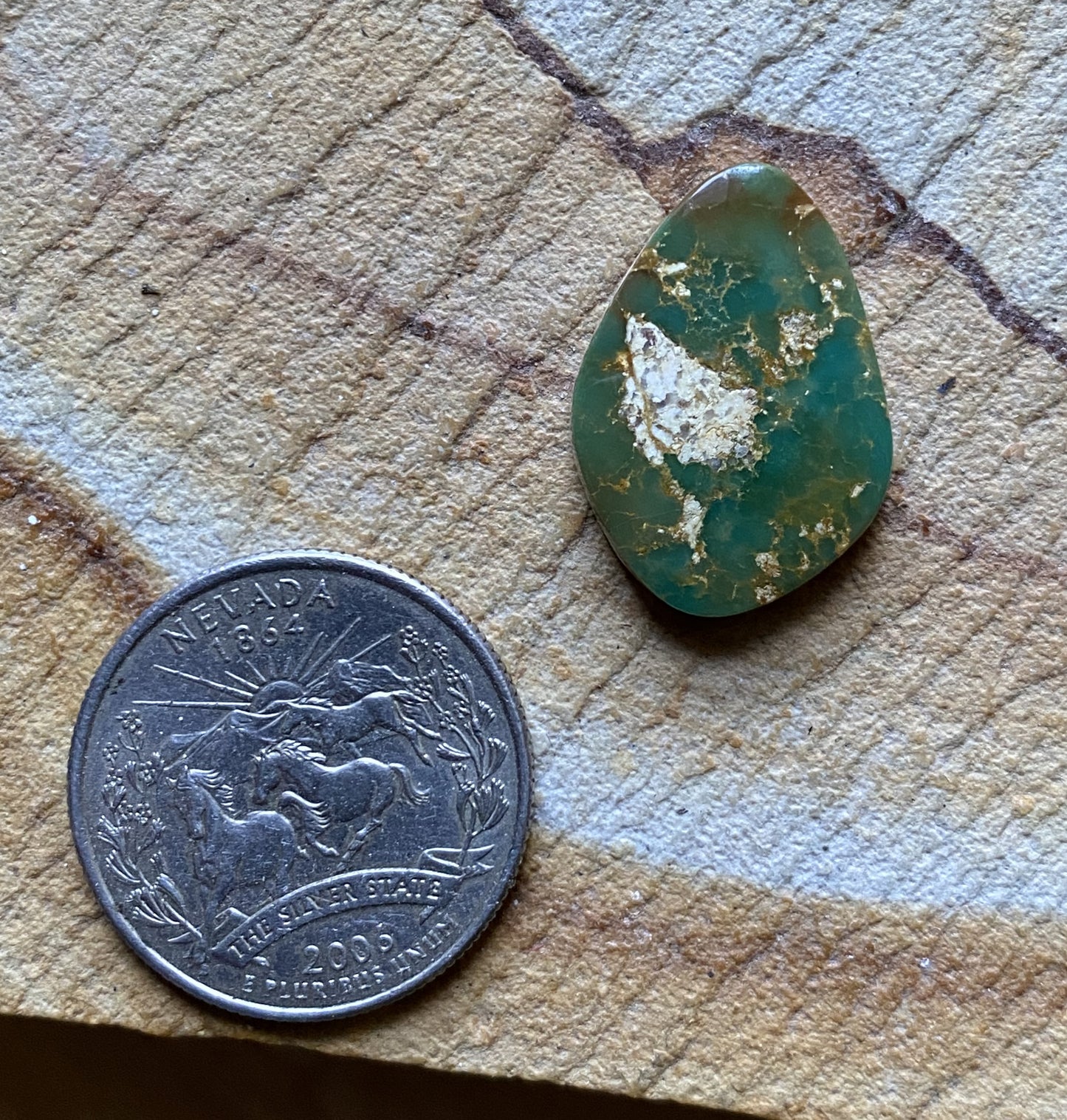 11 carat forest green Stone Mountain Turquoise cabochon