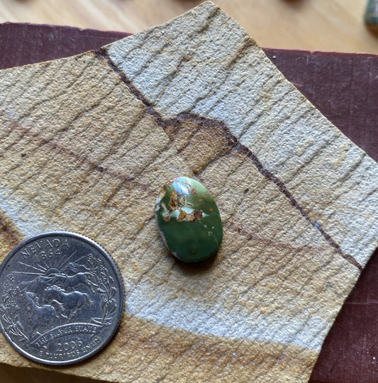 8 carat green Stone Mountain turquoise cabochon 8 carat green Stone Mountain turquoise cabochon