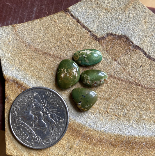 9 carat dark green Stone Mountain Turquoise cabochons 9 carat dark green Stone Mountain Turquoise cabochons