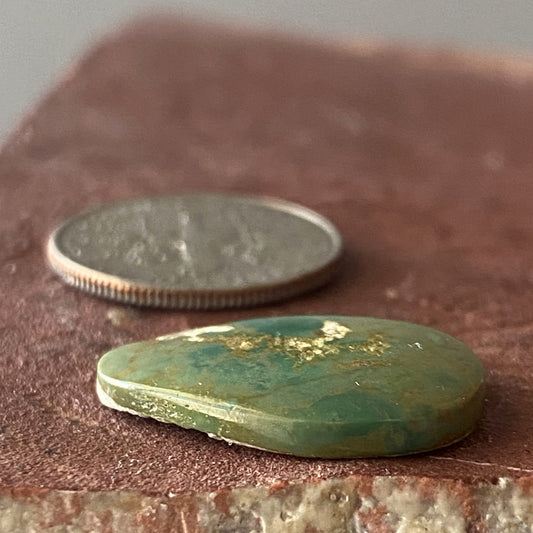 6 carat forest green Stone Mountain Turquoise cabochon