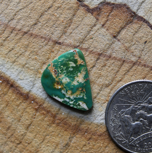7 carat green Stone Mountain Turquoise cabochon 7 carat green Stone Mountain Turquoise cabochon