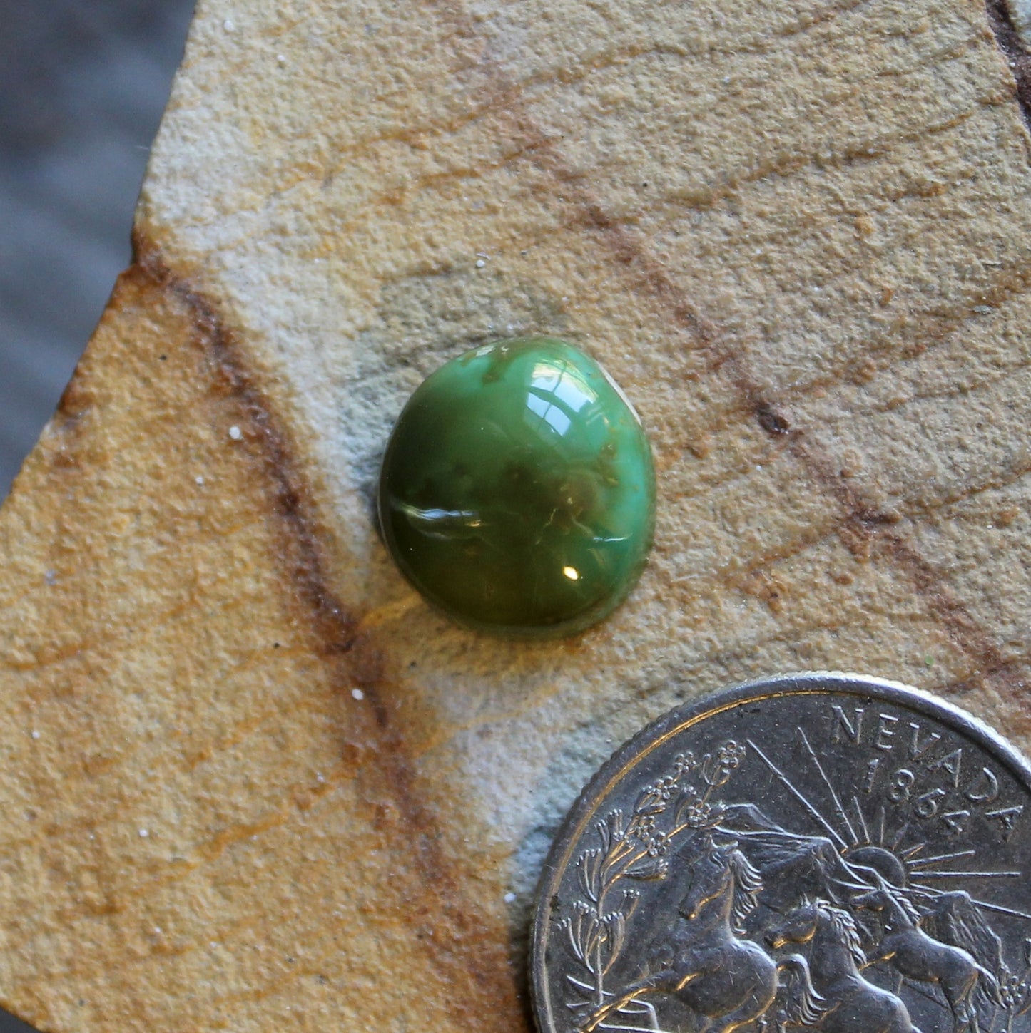 6 round green Stone Mountain Turquoise cabochon