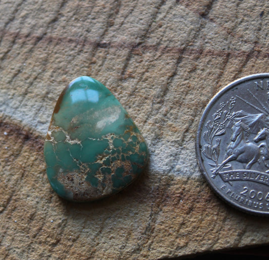 11 carat green Stone Mountain Turquoise cabochon