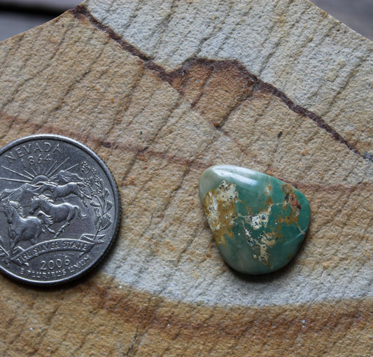 8 carat green Stone Mountain Turquoise cabochon 8 carat green Stone Mountain Turquoise cabochon