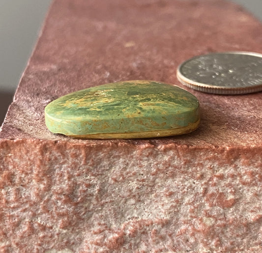 14 carat green Stone Mountain Turquoise cabochon