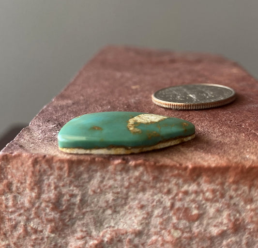 11 carat deep green Stone Mountain Turquoise cabochon