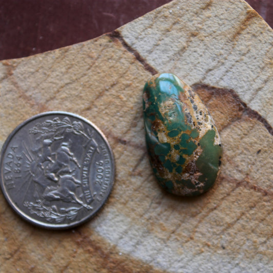 15 carat dark green Stone Mountain Turquoise cabochon 15 carat dark green Stone Mountain Turquoise cabochon