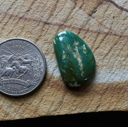 14 carat forest green Stone Mountain Turquoise cabochon 14 carat forest green Stone Mountain Turquoise cabochon