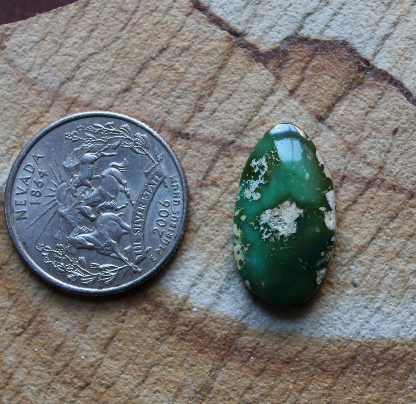 12 carat dark green Stone Mountain Turquoise cabochon