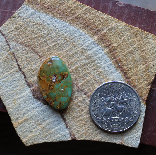 14 carat green Stone Mountain Turquoise cabochon with red matrix 14 carat green Stone Mountain Turquoise cabochon with red matrix