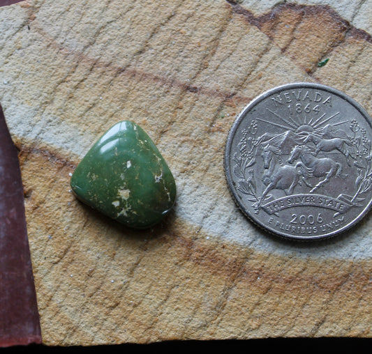 7 carat forest green Stone Mountain Turquoise cabochon