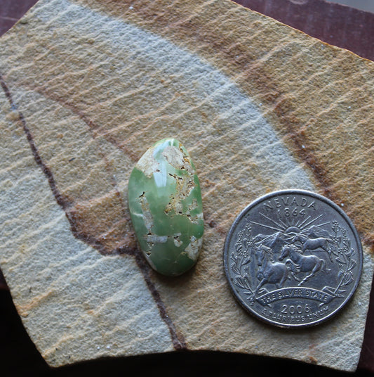 12 carat green Stone Mountain Turquoise cabochon 12 carat green Stone Mountain Turquoise cabochon