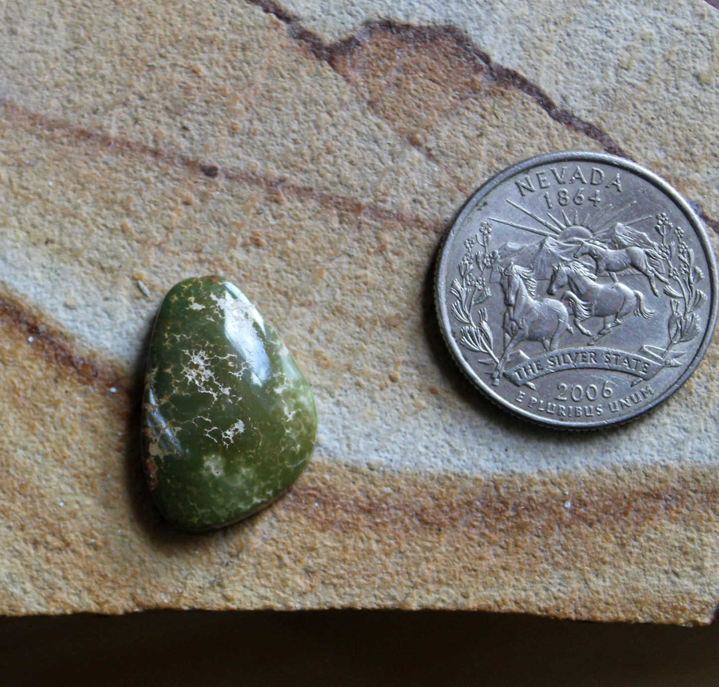 11 carat dark green Stone Mountain Turquoise cabochon