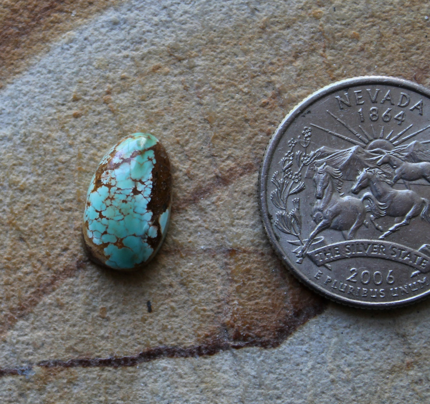 4 carat green Stone Mountain Turquoise cabochon with spiderweb matrix