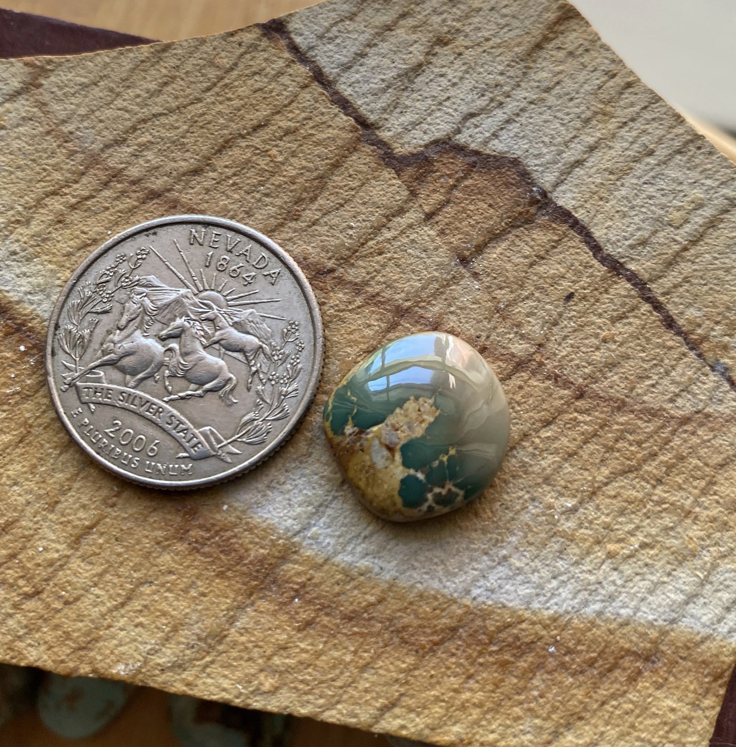 10 carat natural dark green Stone Mountain Turquoise cabochon