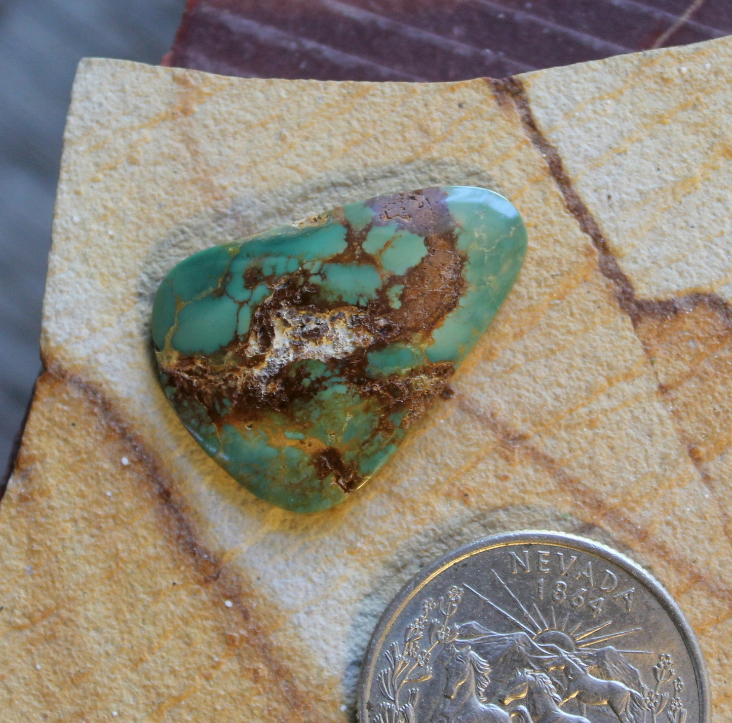 13 green Stone Mountain Turquoise cabochon with red matrix