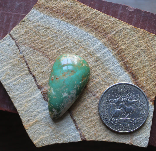 33 carat high dome Stone Mountain Turquoise cabochon 33 carat high dome Stone Mountain Turquoise cabochon