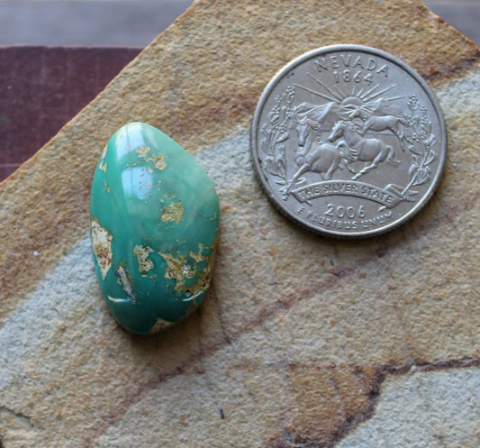 20 carat green Stone Mountain Turquoise cabochon with a high dome