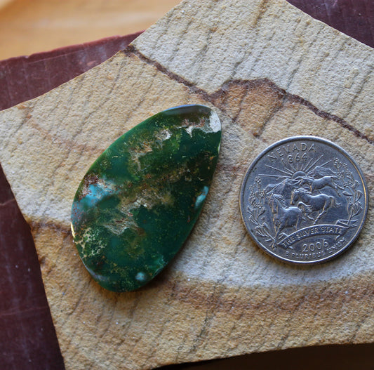 24 carat forest green Stone Mountain Turquoise cabochon 24 carat forest green Stone Mountain Turquoise cabochon