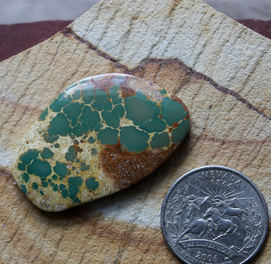 49 carat green Stone Mountain Turquoise cabochon