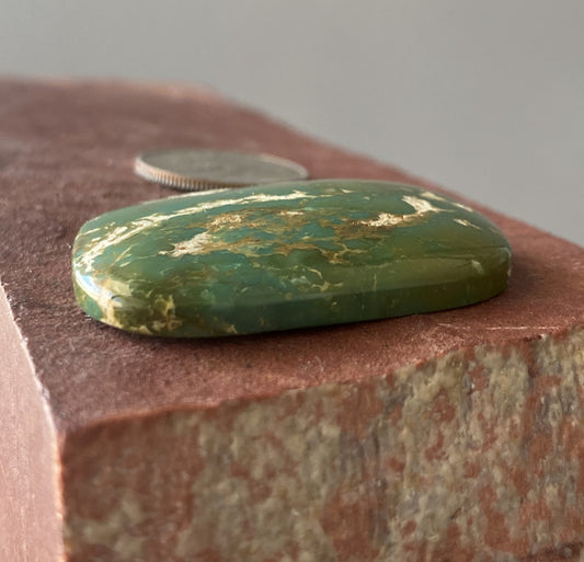 42.9 carat large forest green Stone Mountain Turquoise cabochon