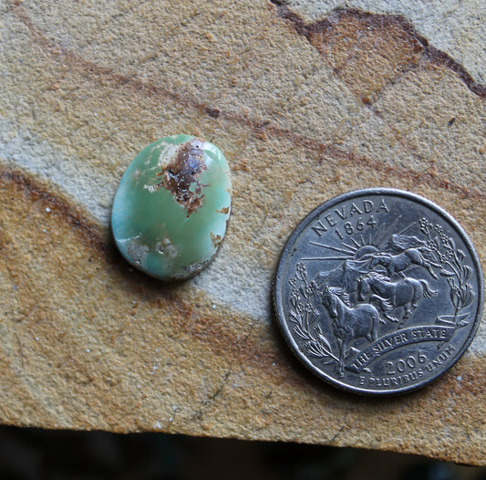 6 carat color change Stone Mountain Turquoise Nevada cabochon 6 carat color change Stone Mountain Turquoise Nevada cabochon