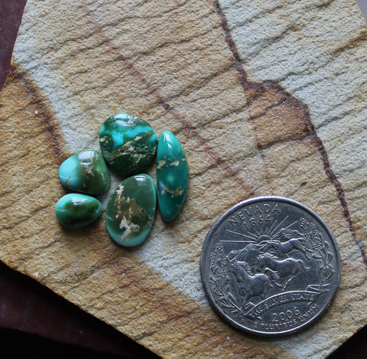 11 carat color change Stone Mountain Turquoise cabochons 11 carat color change Stone Mountain Turquoise cabochons