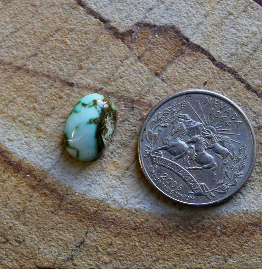 5 carat color change Stone Mountain Turquoise cabochon 5 carat color change Stone Mountain Turquoise cabochon