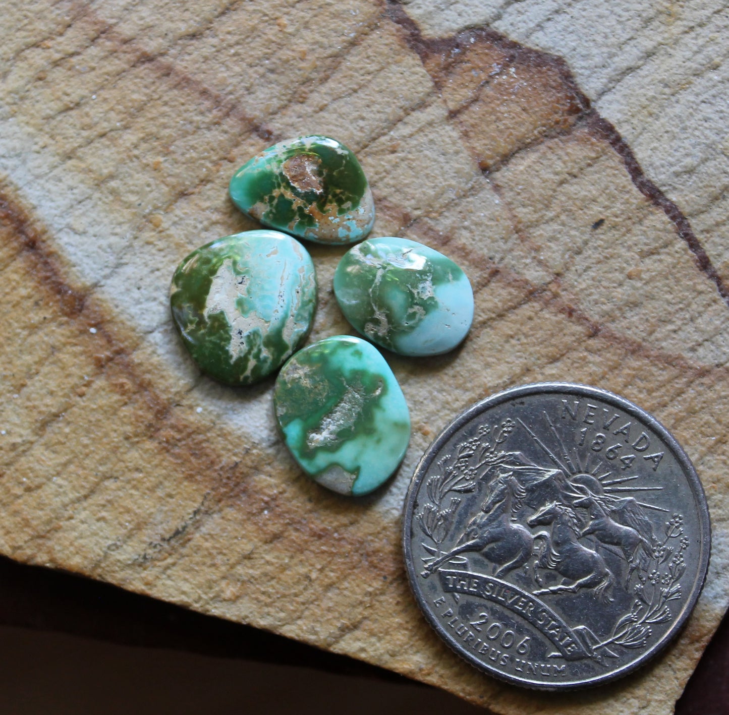 9 carat color change Stone Mountain Turquoise cabochons