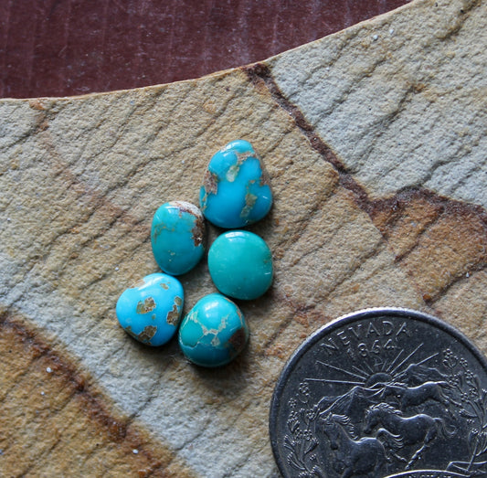 Small deep blue Stone Mountain Turquoise cabochons