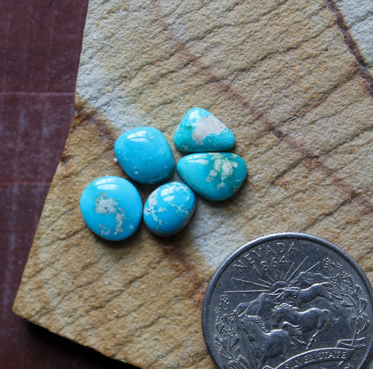 Small vivid blue Stone Mountain Turquoise cabochons
