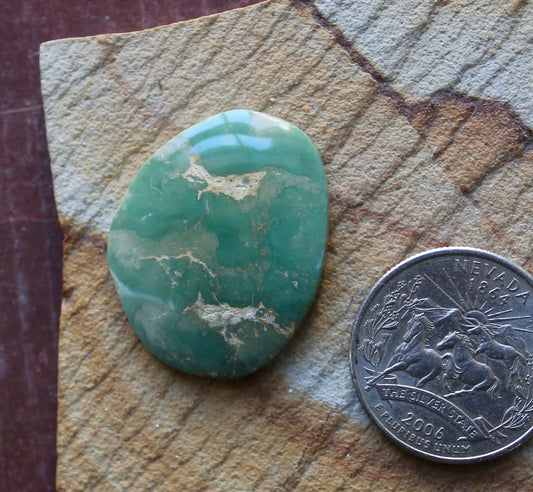24 carat sea green Stone Mountain Turquoise cabochon