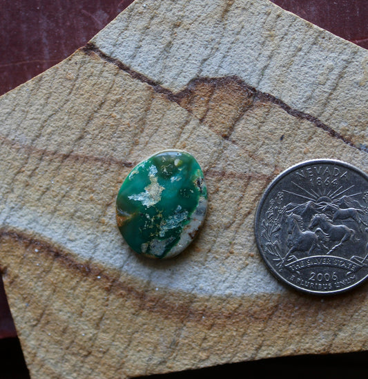 10 carat deep teal Stone Mountain Turquoise cabochon 10 carat deep teal Stone Mountain Turquoise cabochon